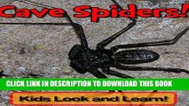 [New] Cave Spiders! Learn About Cave Spiders and Enjoy Colorful Pictures - Look and Learn! (50 