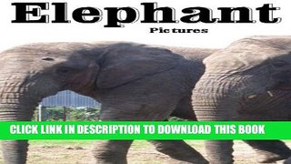 [New] Elephant Pictures Exclusive Online