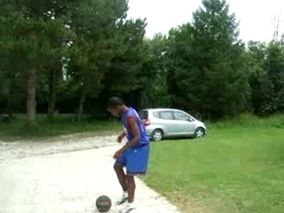 dunk d anthologie flo