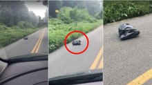 Condutora vê saco do lixo a mexer-se na estrada e fica chocada ao abrir