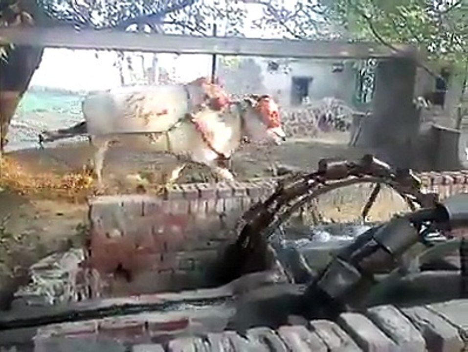 old memories must watch & enjoy