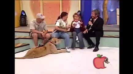 Aslan küçük çocuğa böyle saldırdı!