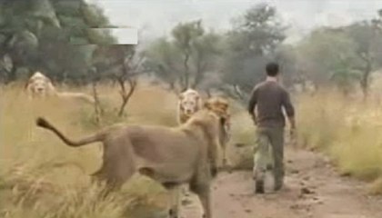 This is shocking! The most amazing thing you'll ever watch!.