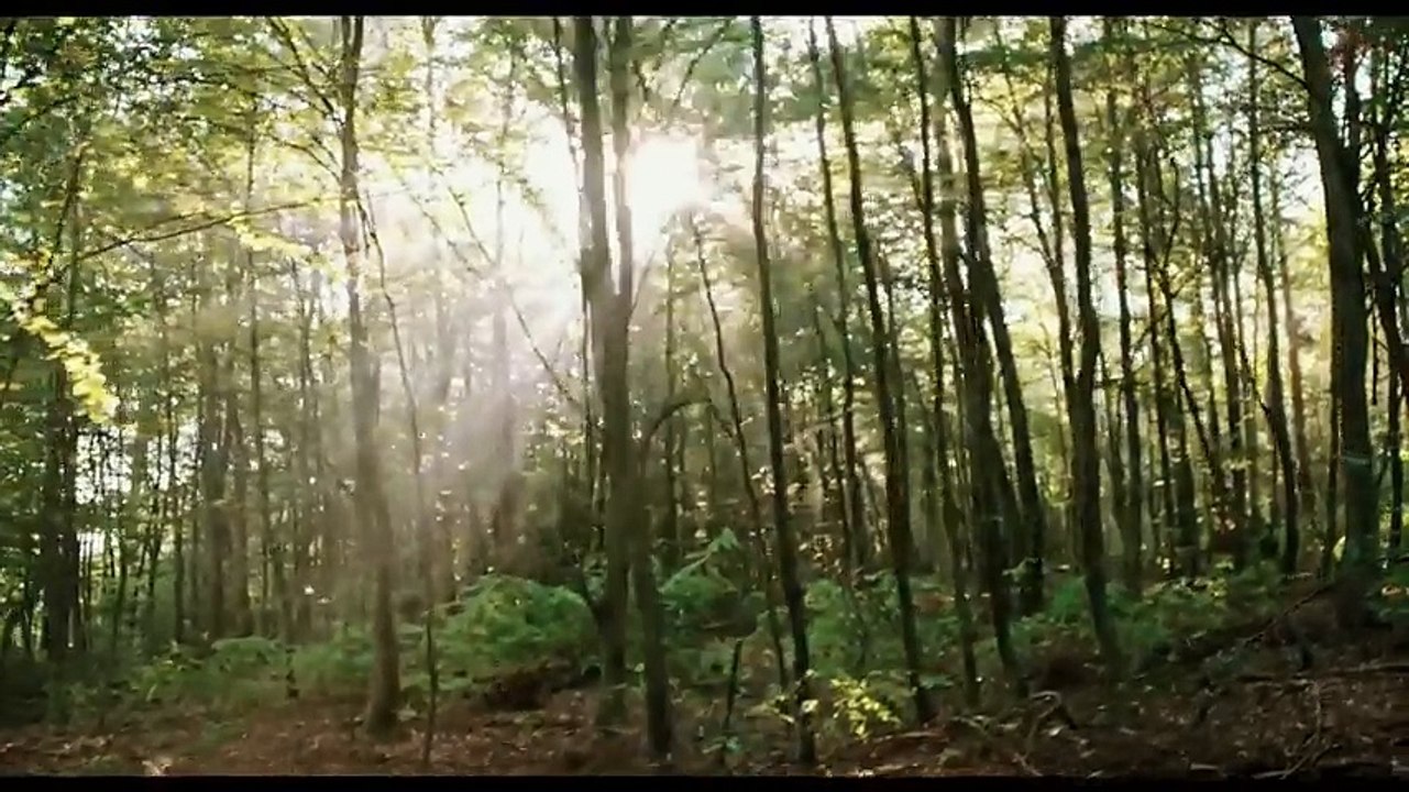 Blair Witch (2016)