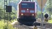 Züge bei der Brücke von Remagen, 155, Plasser&Theurer, Railpool 186, 2x 189, 2x 185, 143, 4x 425