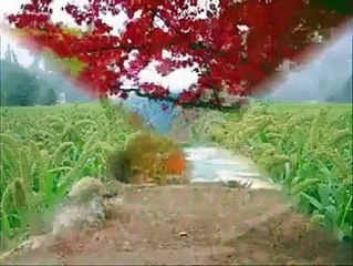 Visit to Gilgit Baltistan