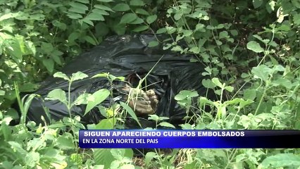 Tải video: Siguen apareciendo cuerpos embolsados