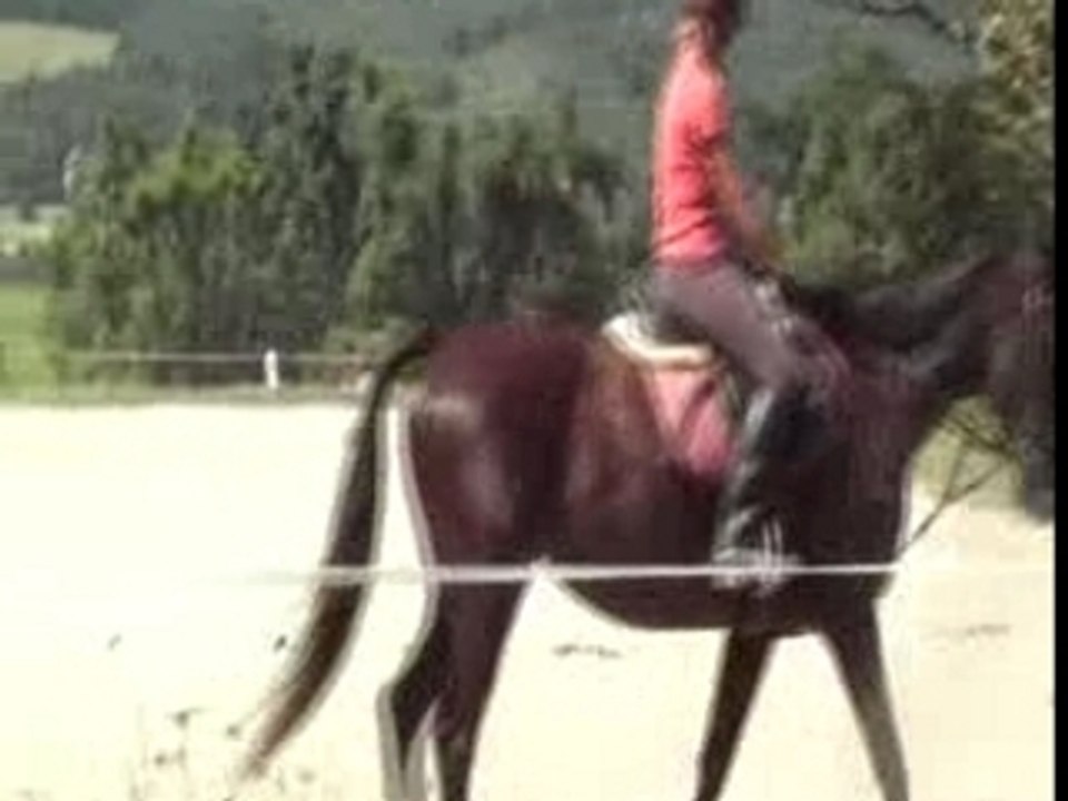 Baby-ouenne et juliette dressage