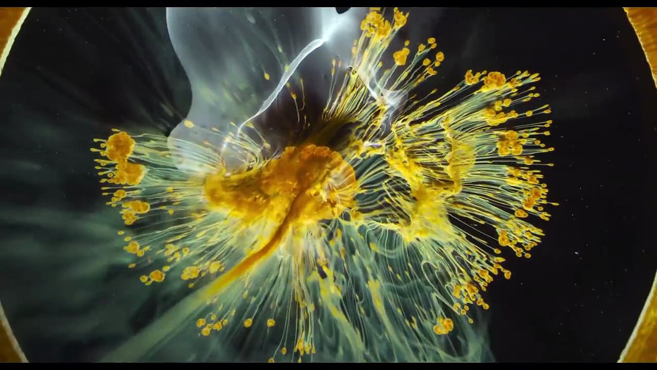 VOYAGE OF TIME Bande Annonce (Brad Pitt, Terrence Malick - Documentaire, 2016)