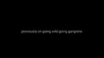 original intro to going Wighld/going wild going gangrene fixed