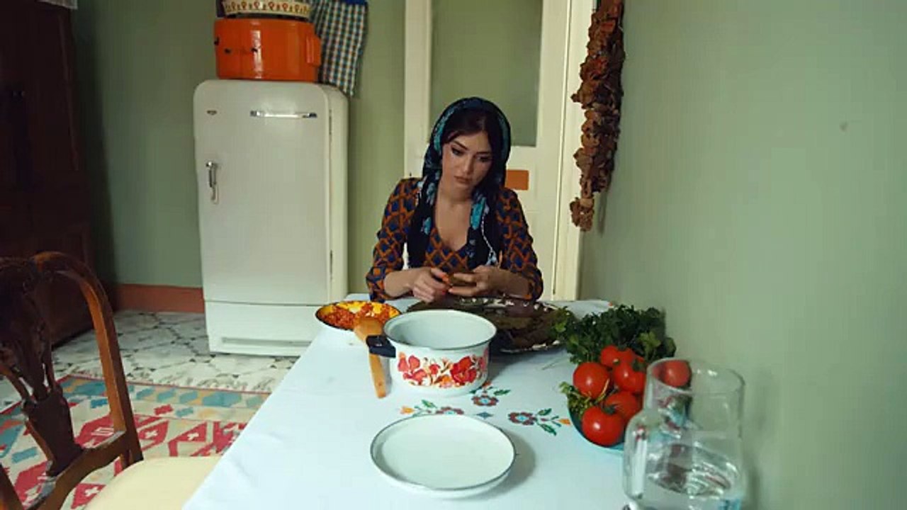 karadayi 198