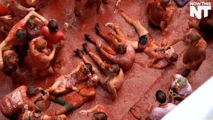 Spain's Tomato Festival Is Just One Big Food Fight