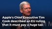 Tim Cook: 'EU ruling on Apple's Irish tax is 'total political crap'