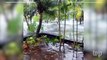 Madeline hits Hawaii with heavy rain and flooding