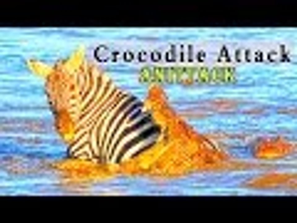 crocodile attacks Top 10 HD