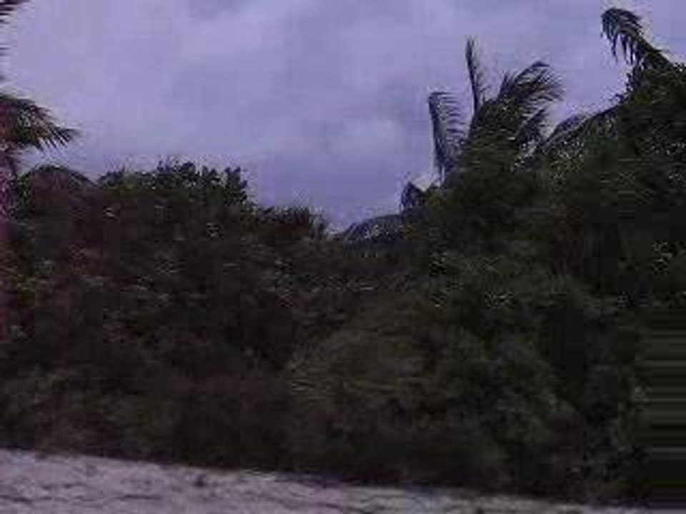 Oiseaux_plage_Maldives