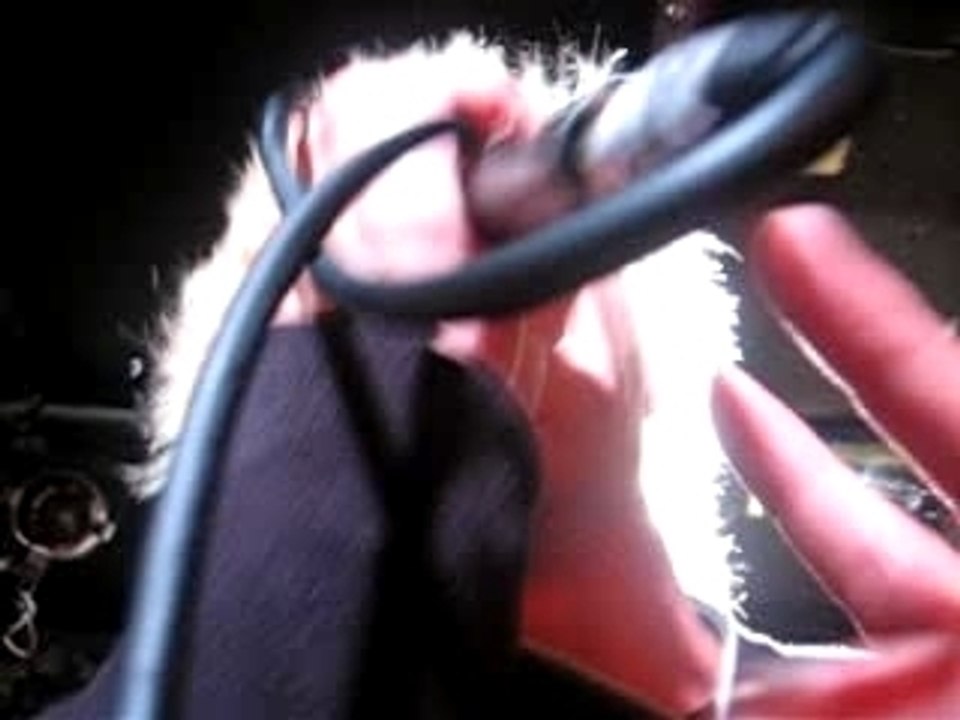 Madina Lake Barfly 4