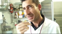 La dolce vita: el arte de hacer helados | Euromaxx