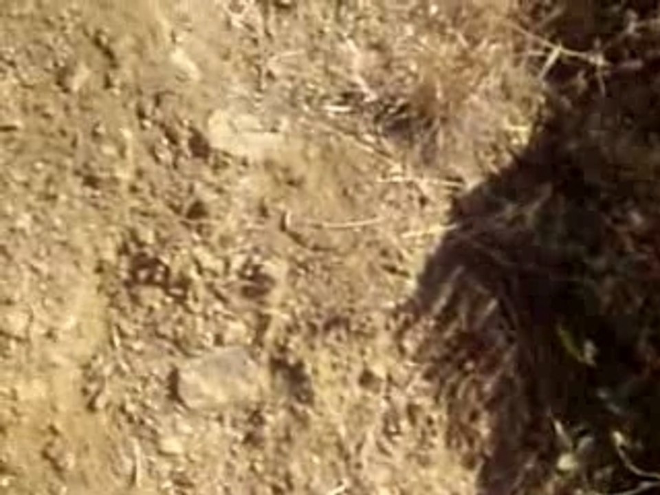 colo pégomas juillet 2007 lucas'show