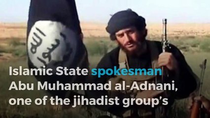 ISIS: top-tier leader Abu Mohammed al-Adnani killed in Aleppo