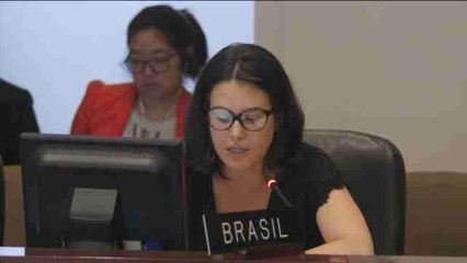 Bolivia, Ecuador, Nicaragua y Venezuela condenan ante la OEA el "golpe" a Rousseff