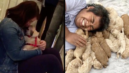 'Husband Of The Year' With Surprise Pug & Happiest Man Alive Is Surrounded By Precious Puppies