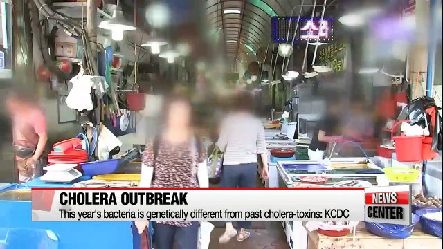 KCDC confirms all 3 Cholera victims infected by identical bacteria