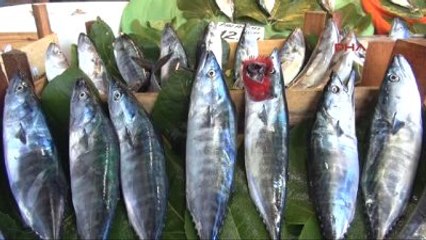 Zonguldak?ta Sezonun İlk Balıkları Tezgahı Süsledi