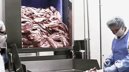 COISAS NOJENTAS QUE VOCÊ GOSTA DE COMER