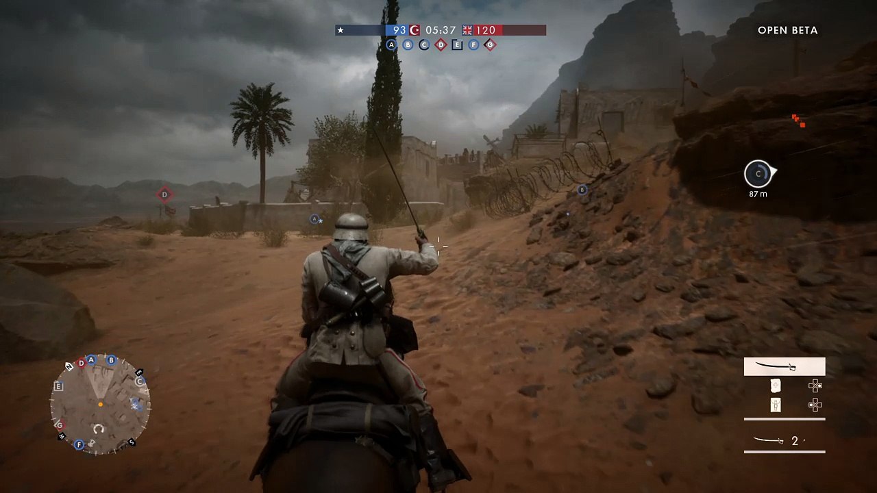 Accidental Horse kill