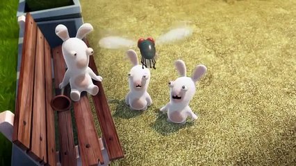 Rabbids Invasion - New Episodes! [US]