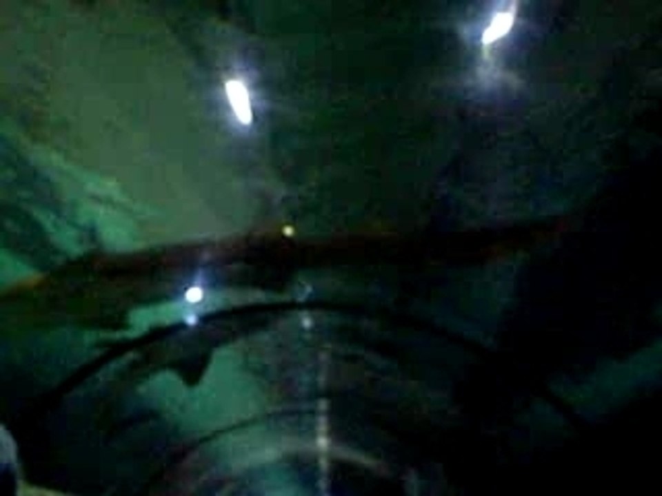 colo pégomas juillet 2007 marineland requins sharks