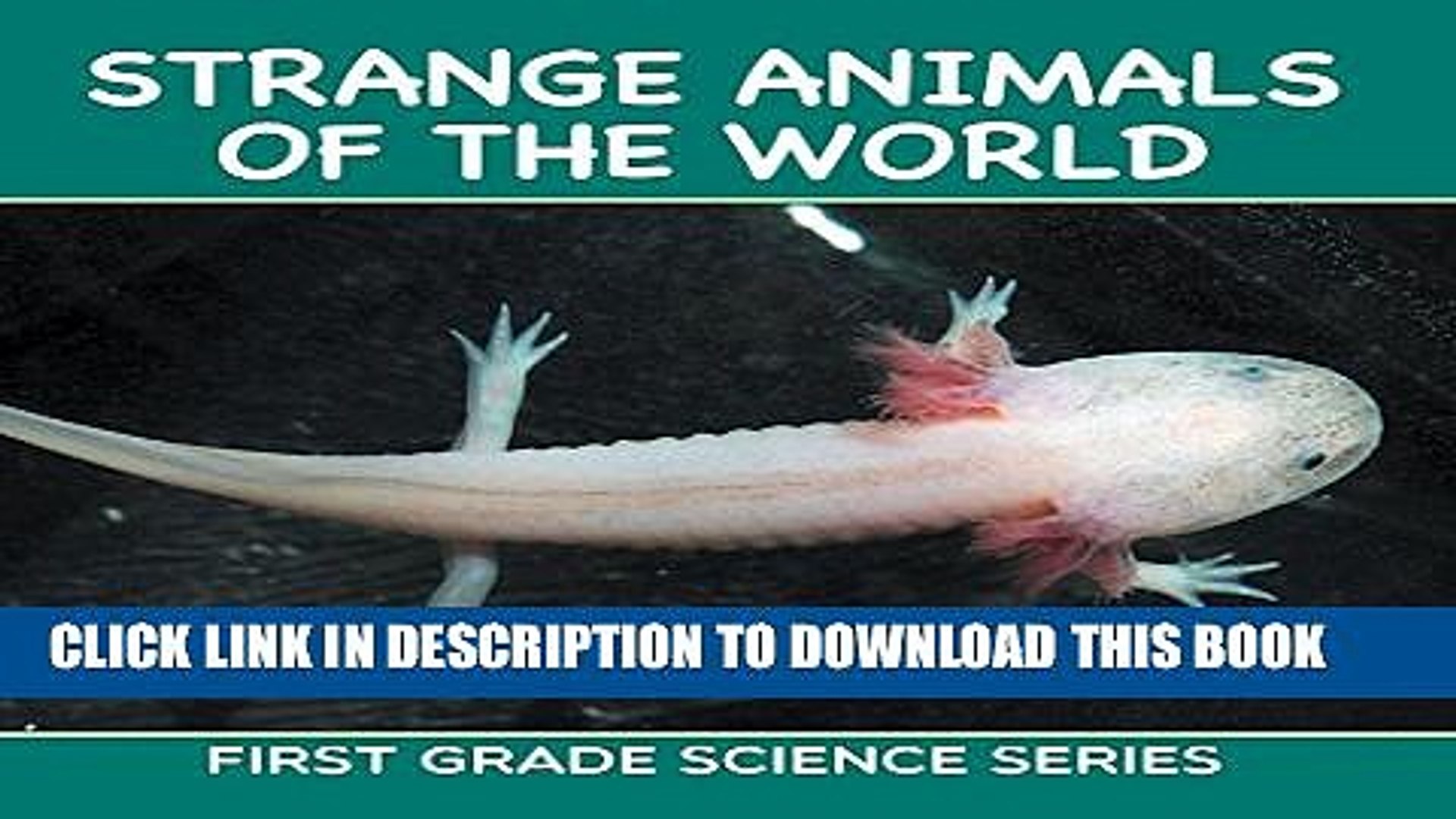 ⁣[PDF] Strange Animals Of The World : First Grade Science Series: First Grade Books (Animal