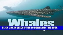 [PDF] Whales - Let s Meet Mr. Big Fins: Whales Kids Book (Children s Fish   Marine Life Books)