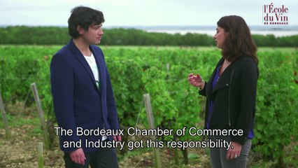 CLASSIFICATION OF 1855