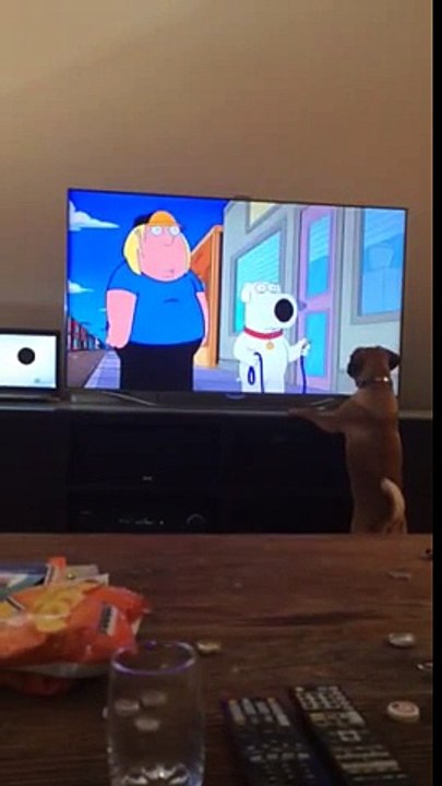 Ce chien attaque le chien d'un dessin animé à la TV !