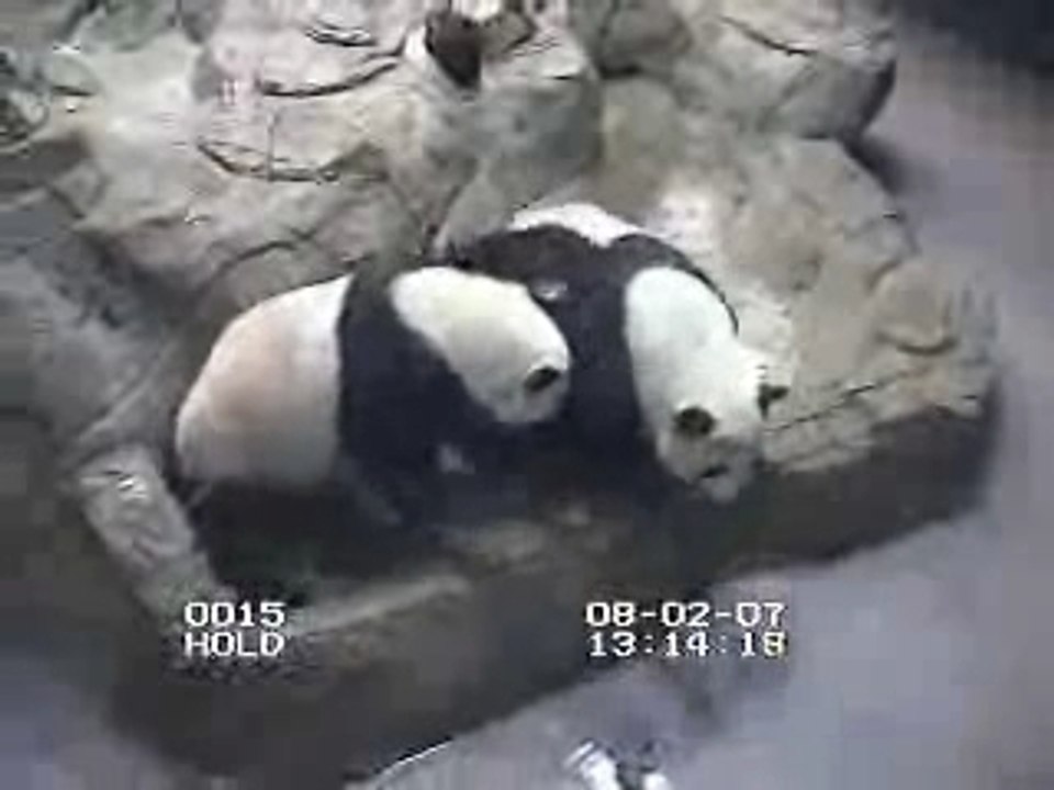 Mei & Tian Round 1