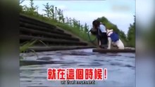 猴子带着狗狗过河