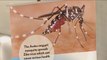 Tres mosquitos dan positivo por zika en Miami Beach (EE.UU.)