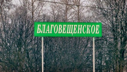 2ТЭ116-1706 с грузовым поездом, ст. Благовещенское