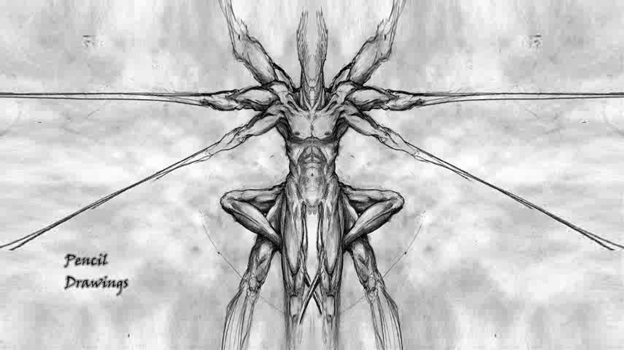 Pencil drawings Morphing
