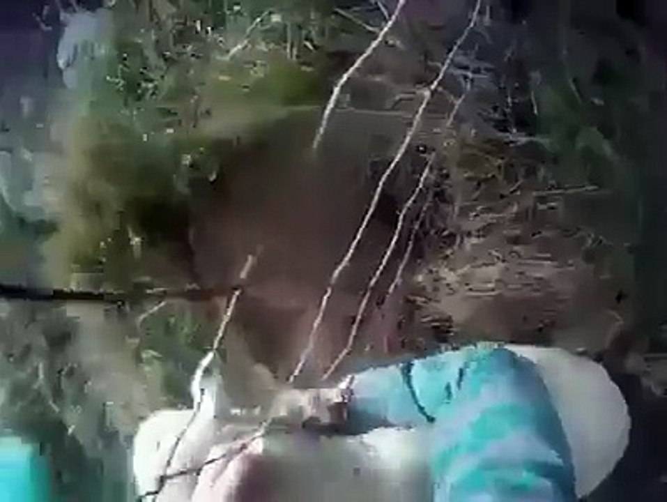 Uçurumdan yuvarlanan koyun