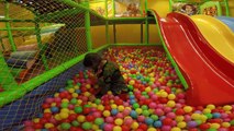 Learn Color Ball Pit Show: Fun Way to Learn Colour for Toddlers in the Indoor Playground