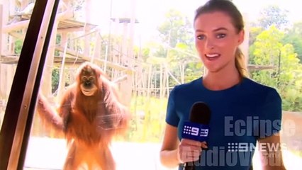 Funny 2016 Fails, Bloopers and Mistakes