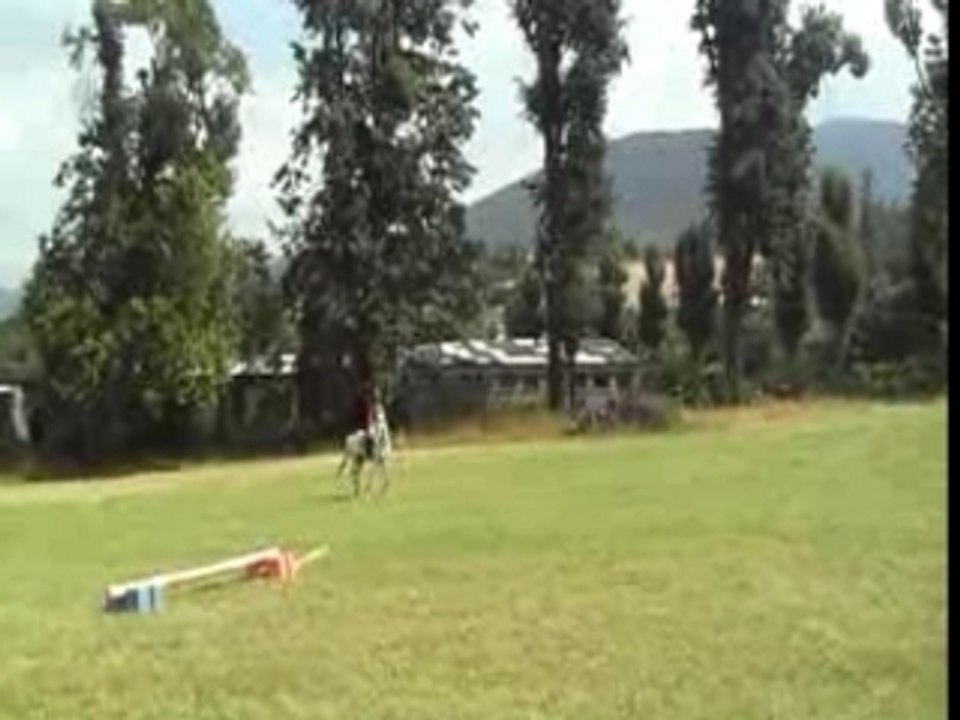 ines du Barry mOnté par Méryldans le croSs