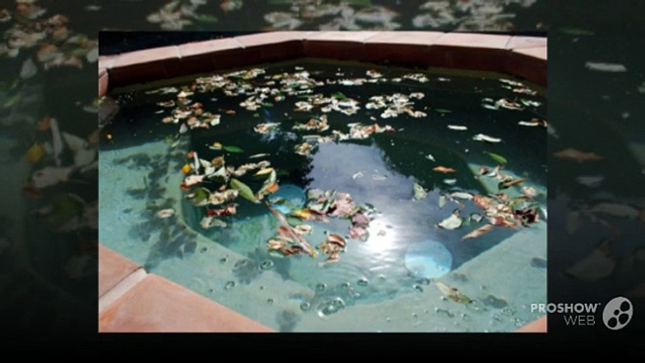 Advantages of Installing Swimming Pool Enclosure