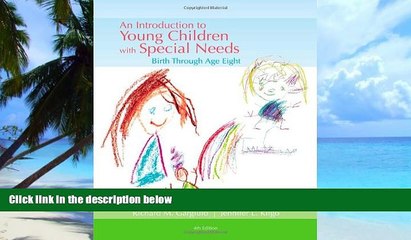 Big Deals  An Introduction to Young Children with Special Needs: Birth Through Age Eight  Best