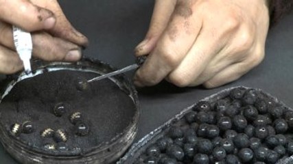"Kara Altın" Binlerce Kişinin Geçim Kaynağı Oldu