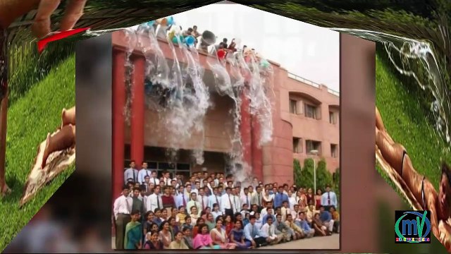 20 Perfectly Timed Photos