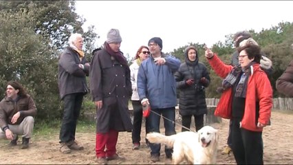 Fadas 2016 : Port-Bourgenay